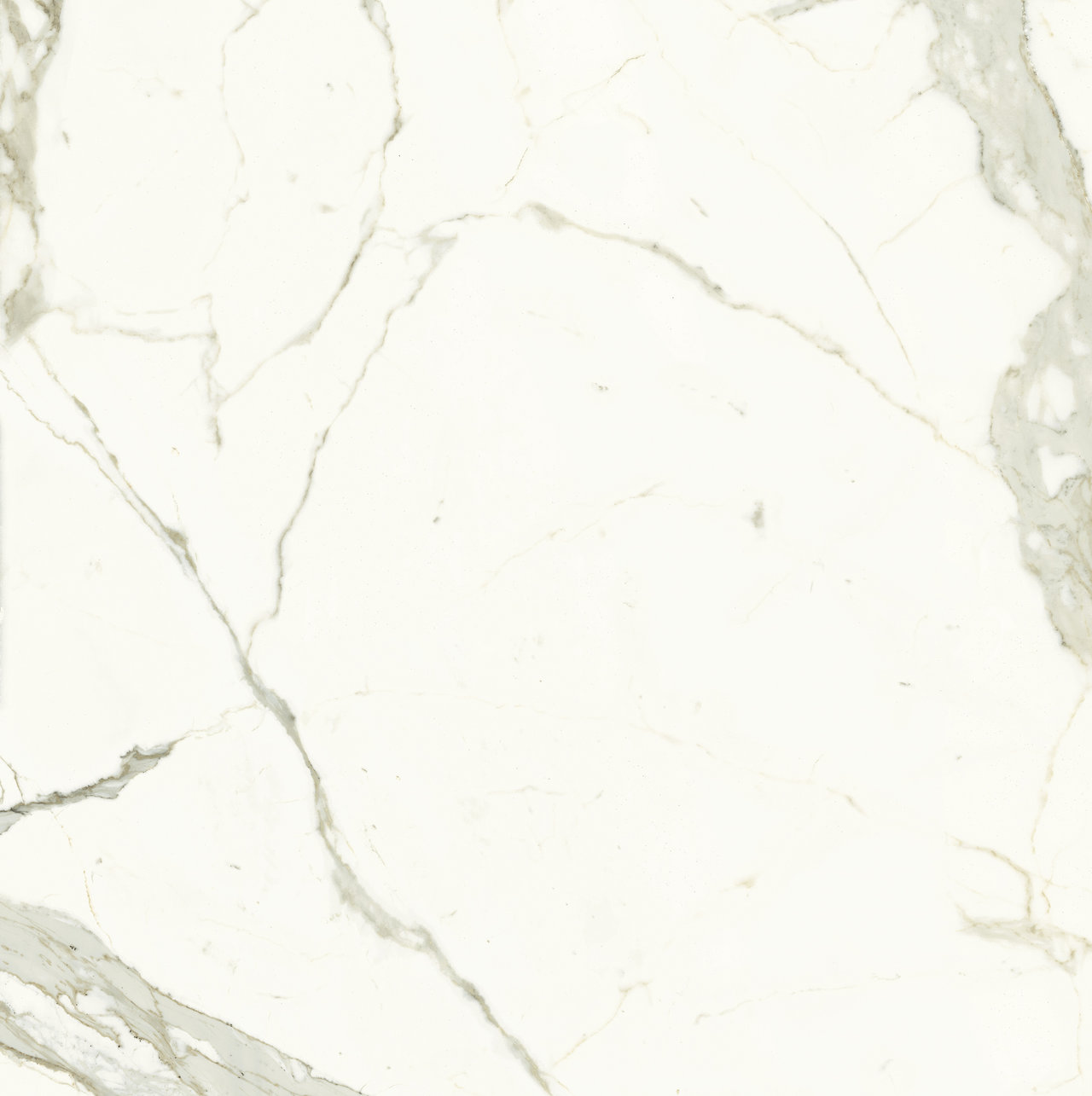 Elite Calacatta Polished