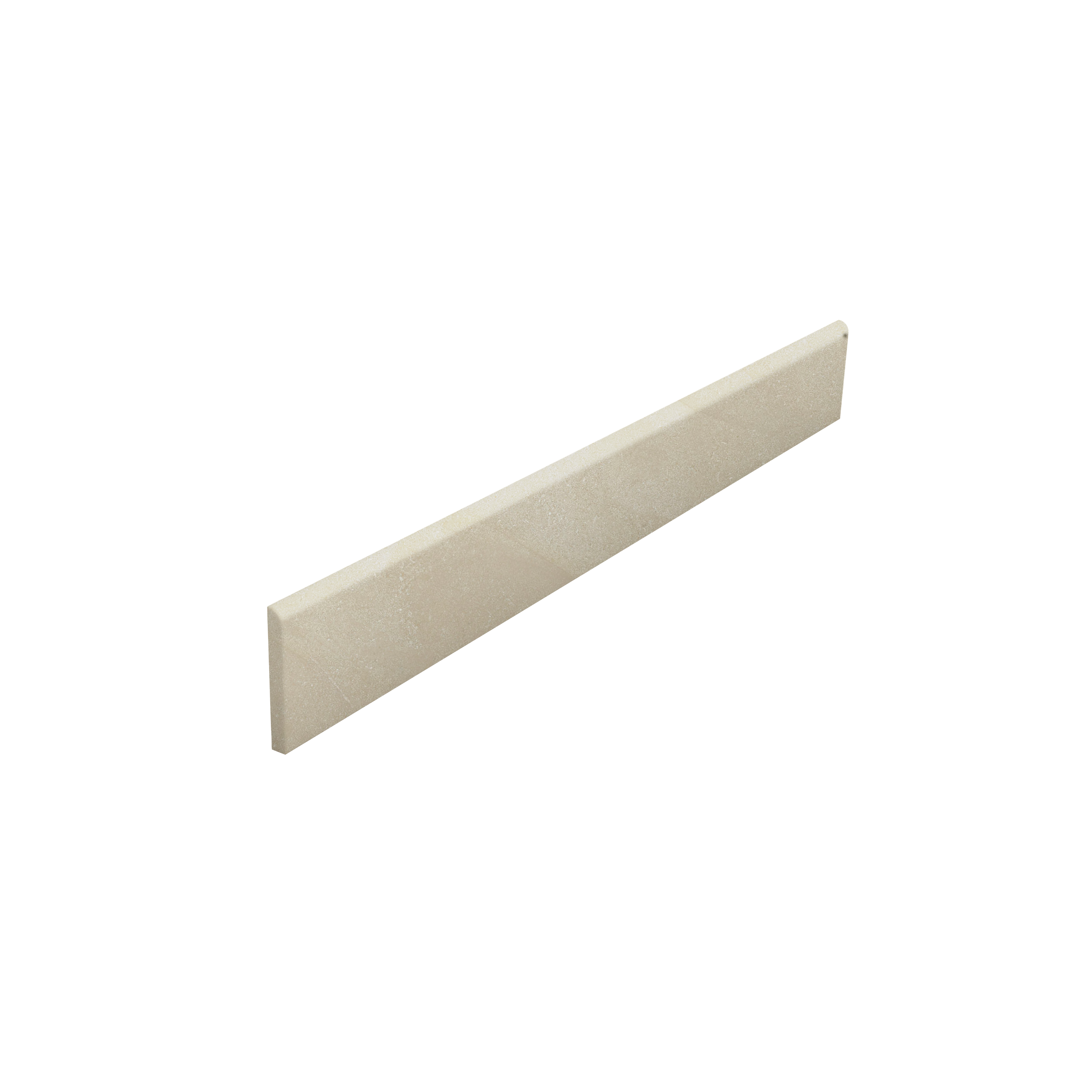 Bullnose Seashell