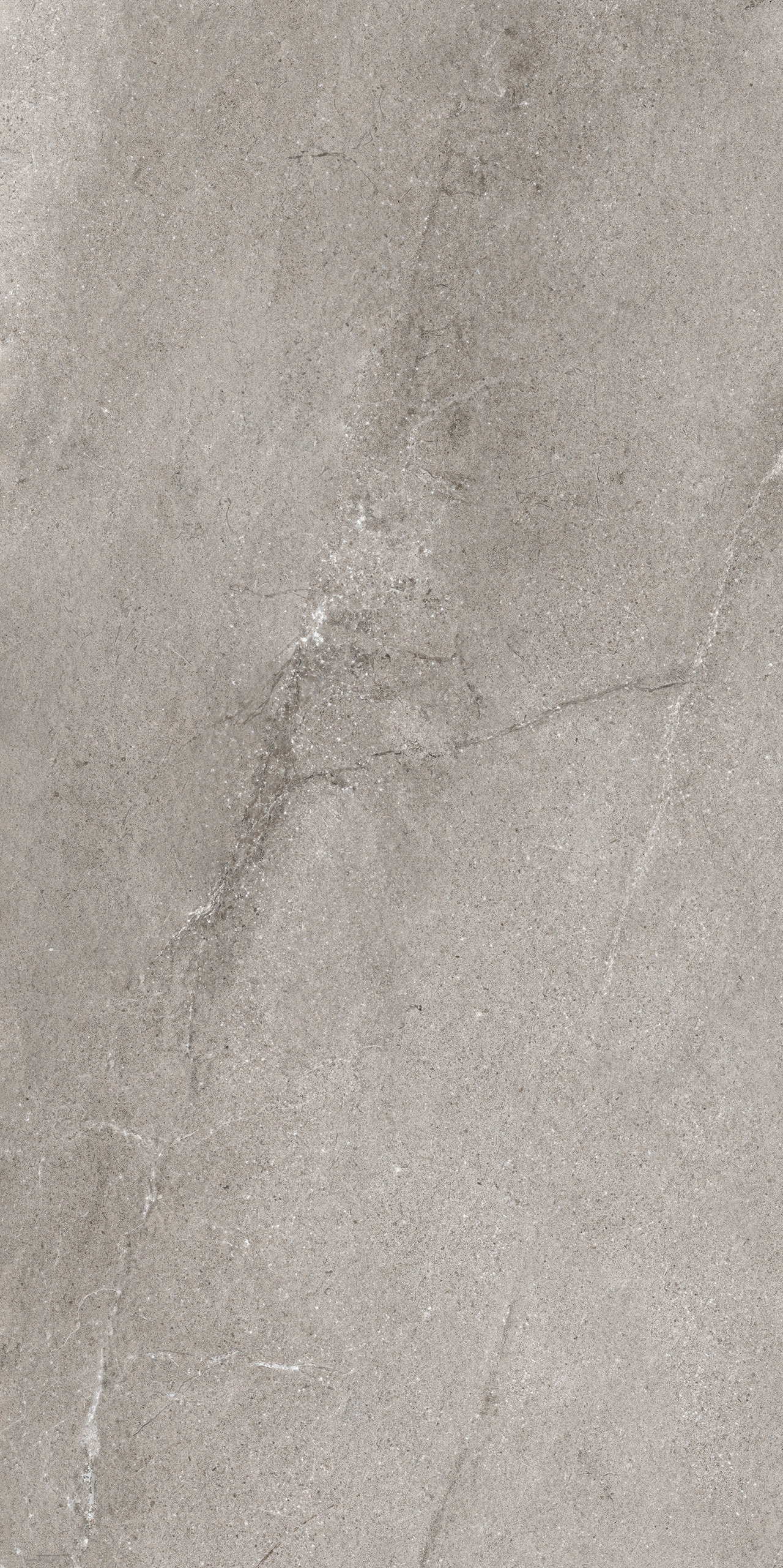 : Piastrella in gres porcellanato grigio effetto pietra naturale con sottile venatura.