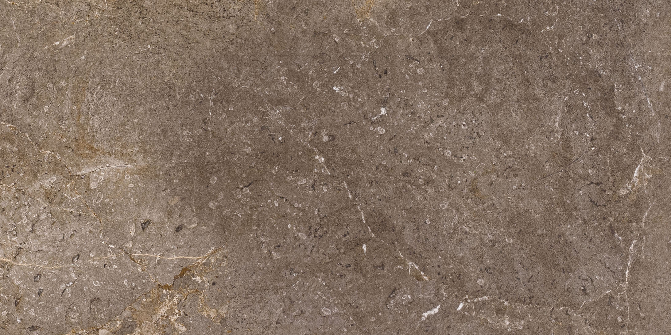 : Gres porcellanato marrone, effetto pietra naturale, venatura fine.